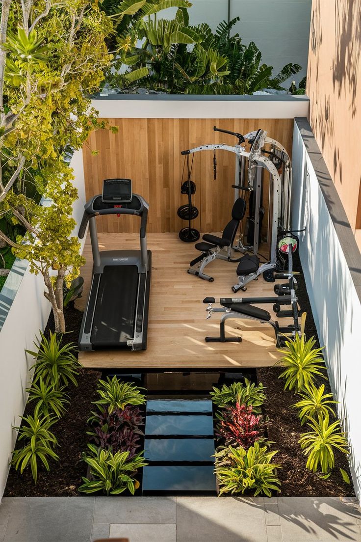 Cay-xanh-cho-phong-gym
