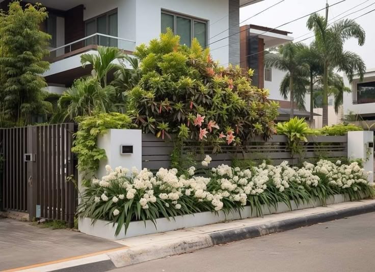Mang-xanh-cho-homestay