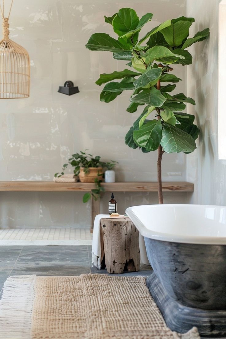 cay-xanh-cho-khong-gian-spa