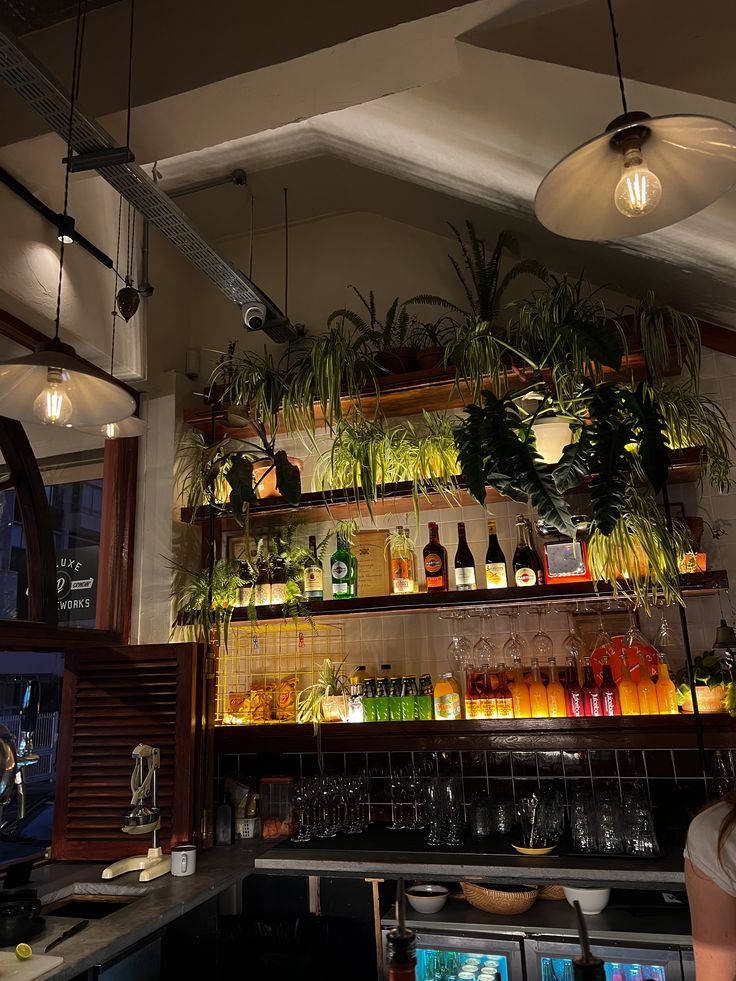 cay-xanh-de-quay-bar