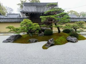 Cay-dung-trong-dip-le-Vu-Lan