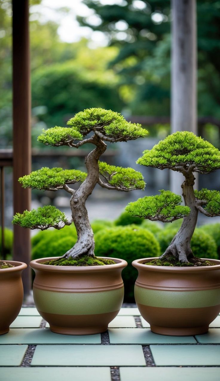 cay-dai-dien-cho-su-truong-tho