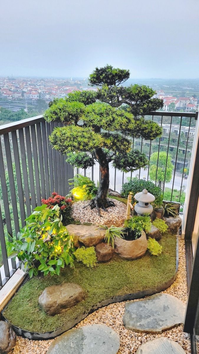 cay-phong-thuy-giup-tang-van